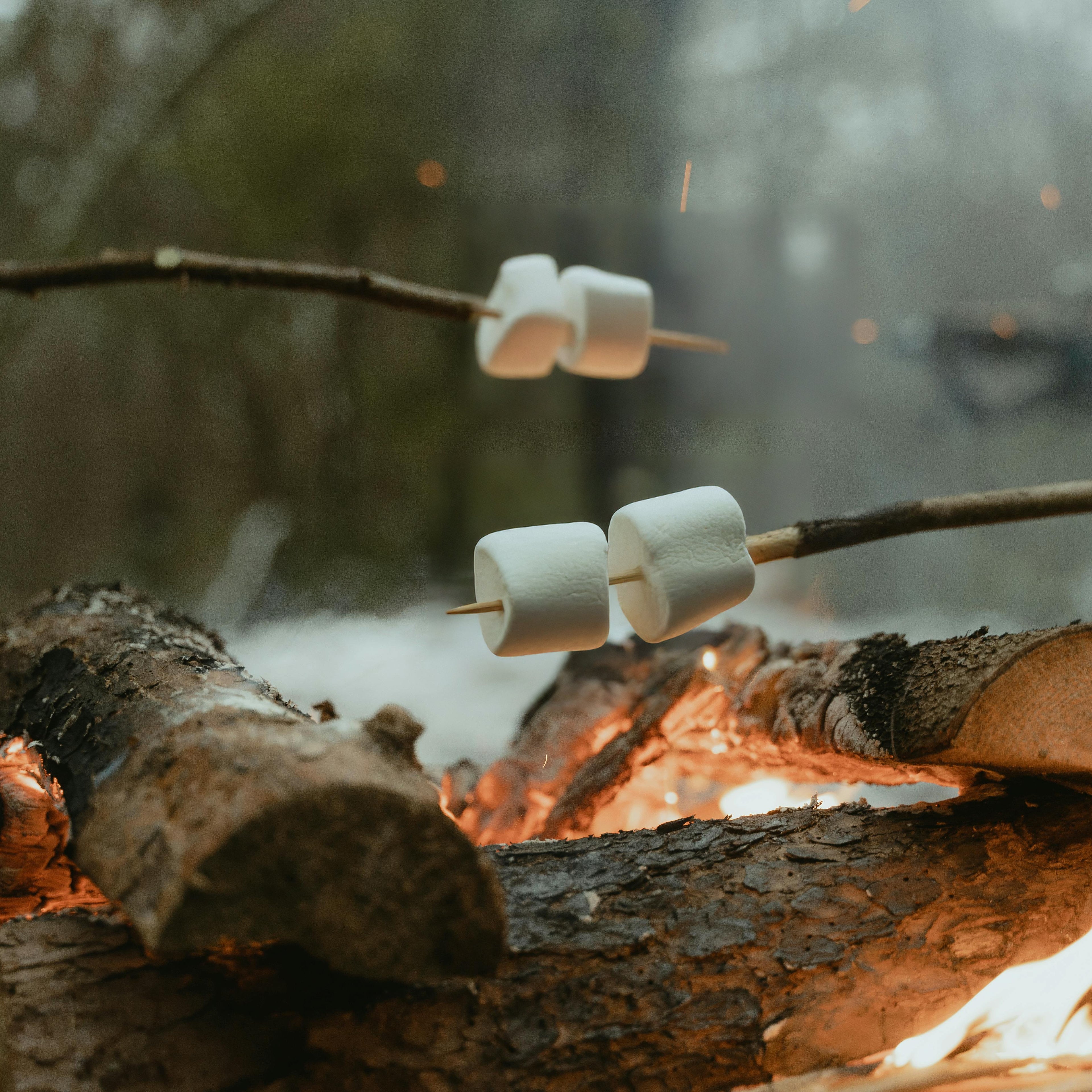 Marshmallows being roasted over a campfire in a snowy outdoor setting